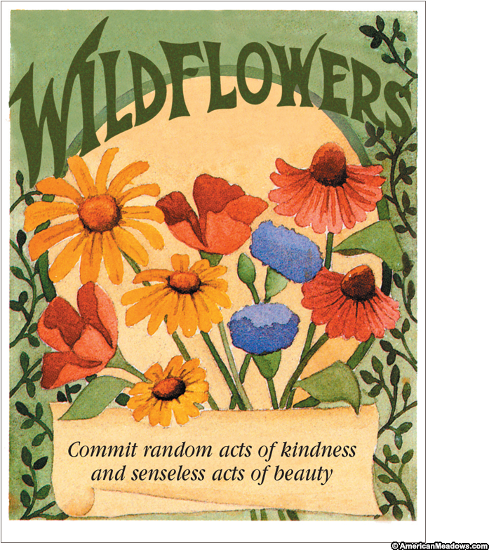 Favor Sized Wildflower Mix Seed Packet - Wildflower Seed Packets (800x800), Png Download