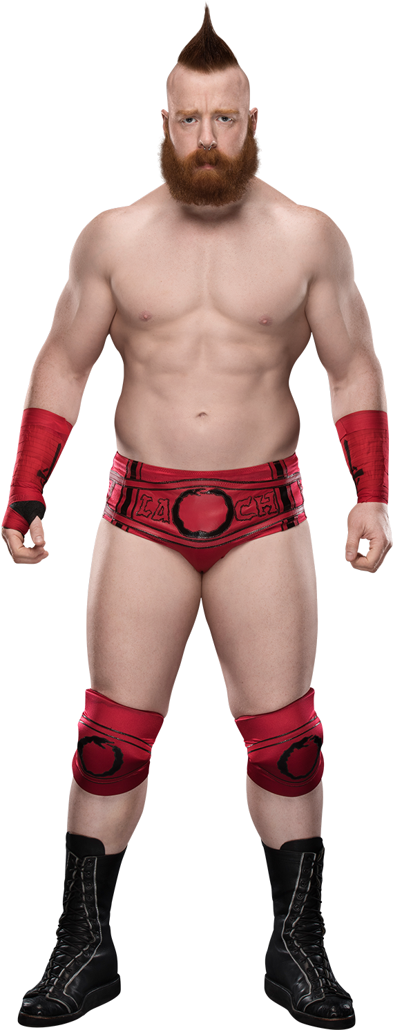 Sheamus - Sheamus Ic Champion Png (320x728), Png Download