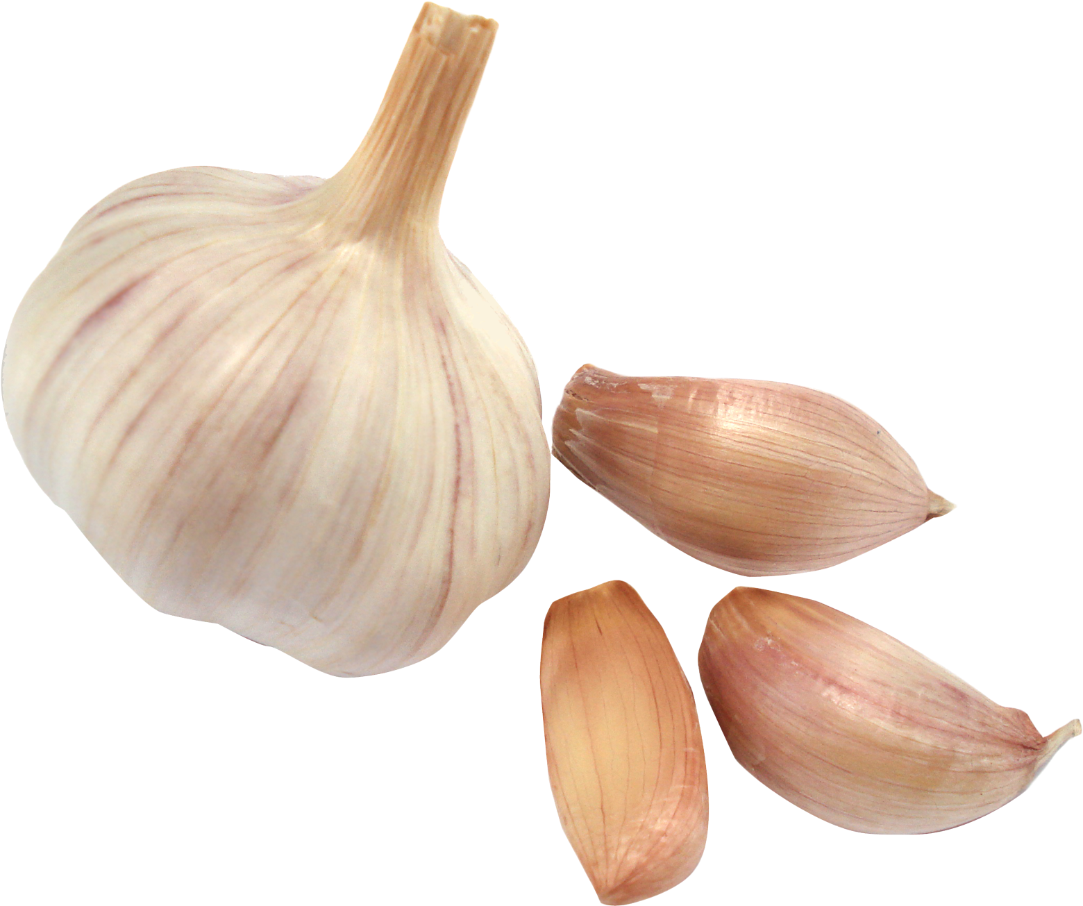 Garlic Png - Garlic Cloves Png (1763x1447), Png Download
