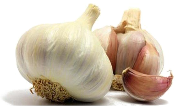 Garlic Png Photo - Garlic Images Hd Png (680x350), Png Download