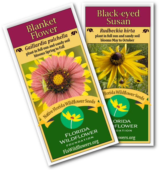 Florida Native Flowers (556x596), Png Download