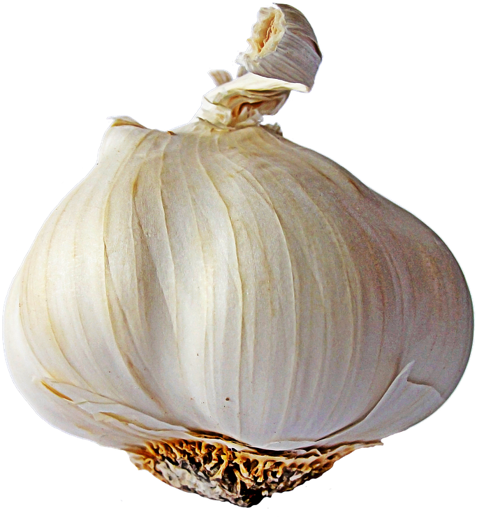Garlic Single - Garlic Png (640x480), Png Download