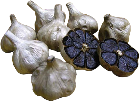 Image Is Not Available - Elephant Garlic (527x356), Png Download