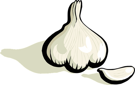 Garlic Plant Vegetable Food Veggie Plantae - Clipart Garlic (540x340), Png Download