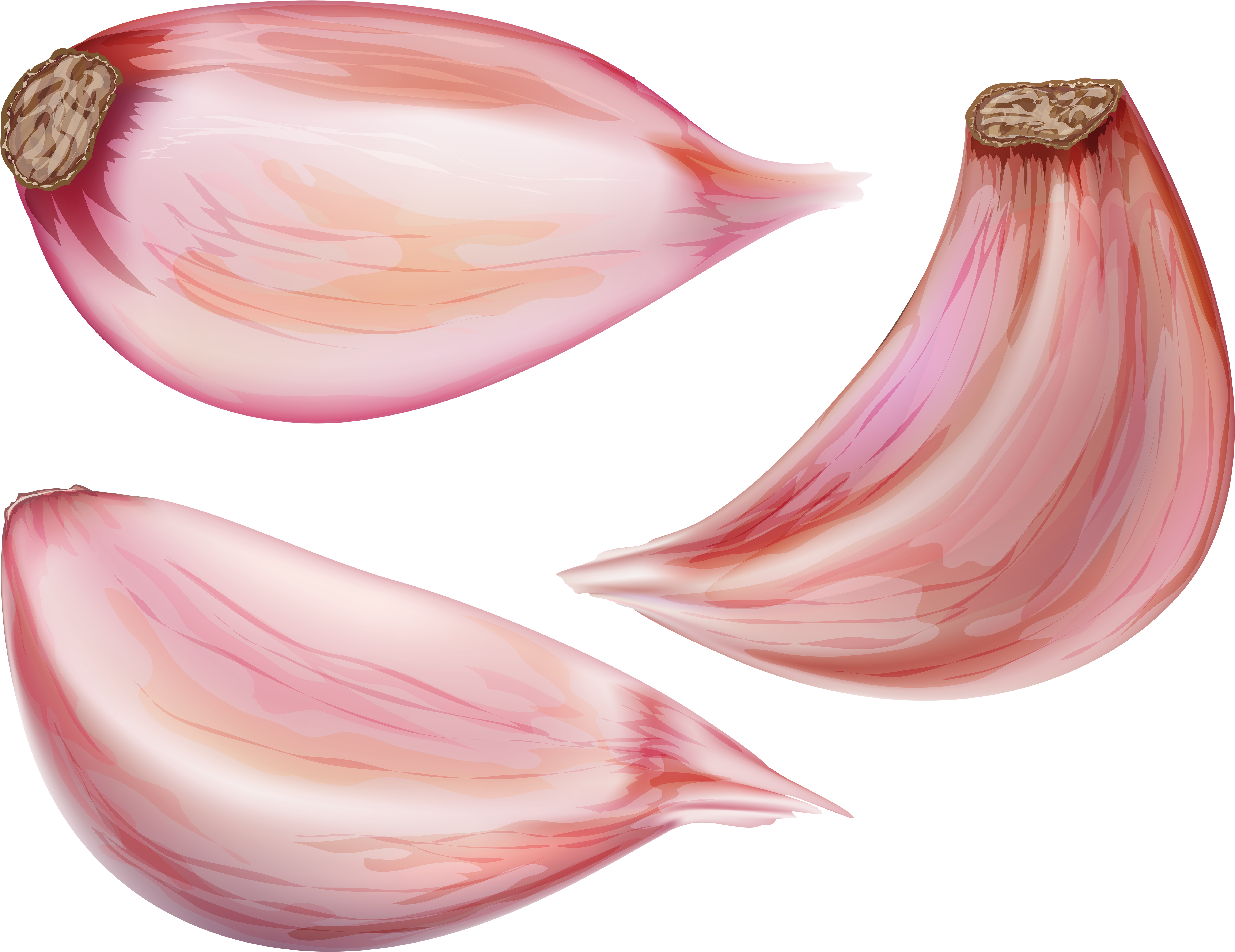 Garlic Png (6000x4673), Png Download