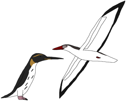 Ocean Birds Png Picture - Portable Network Graphics (438x350), Png Download