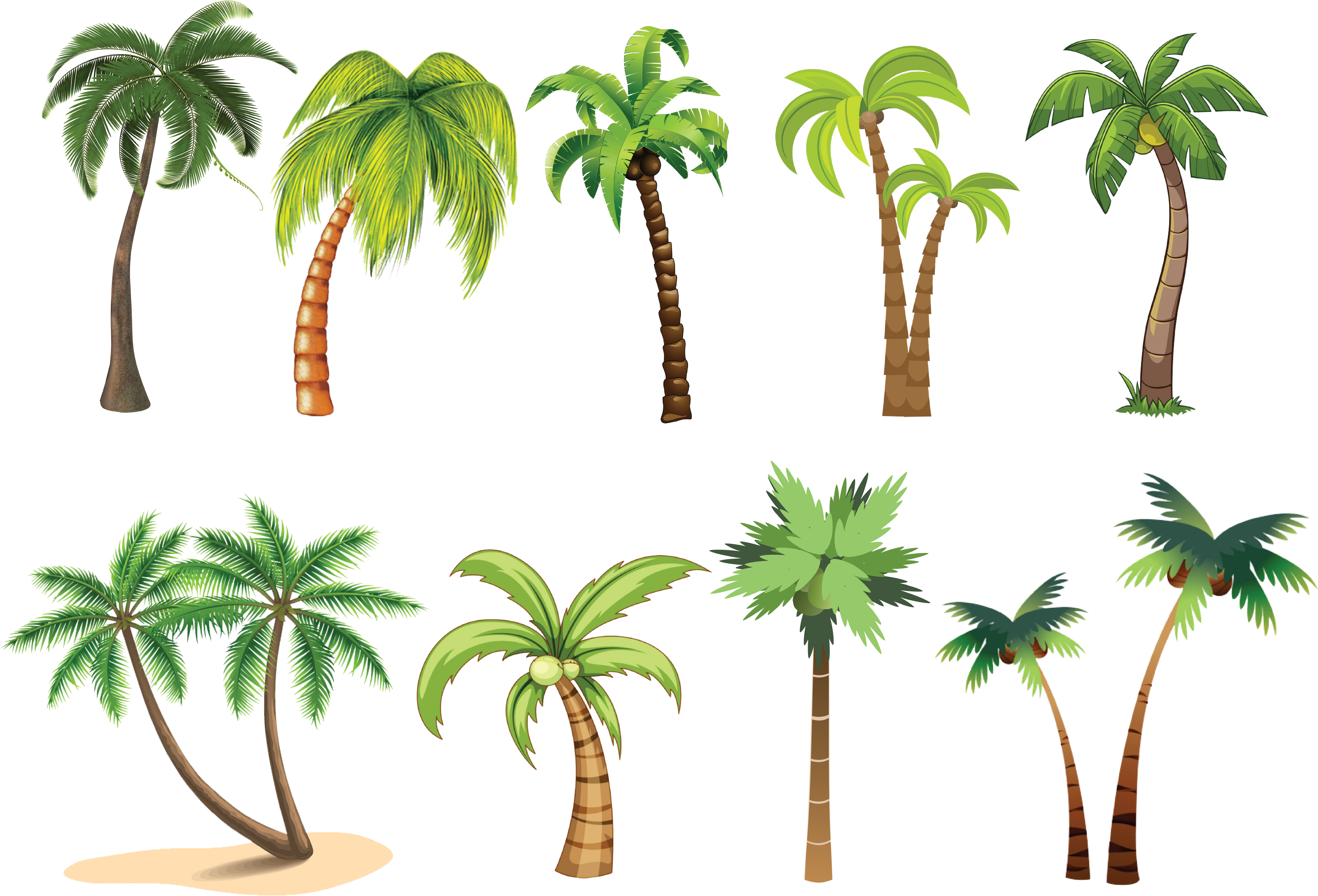 Trees - Palm Tree Clip Art (8000x4500), Png Download
