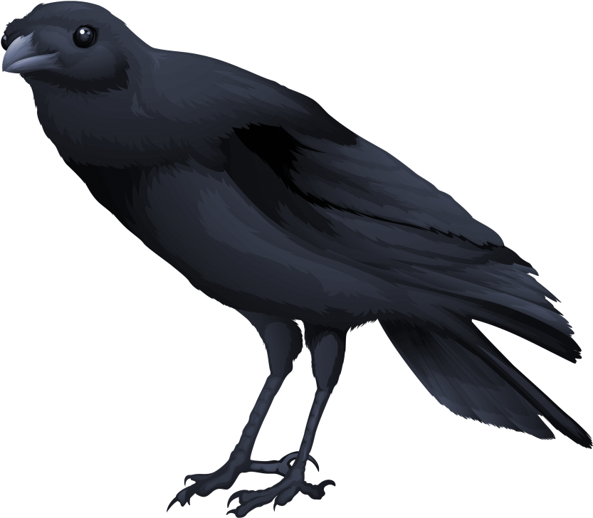 Free Png Download Birds Png Images Background Png Images - Transparent Background Raven Gif (850x743), Png Download
