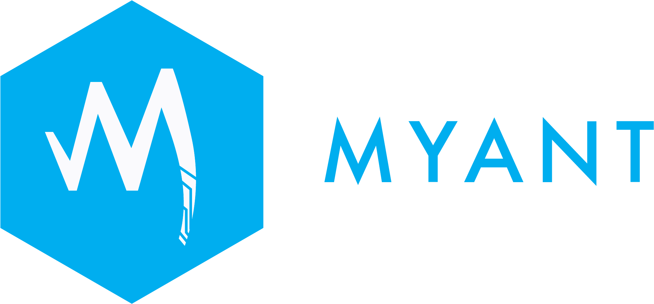 What We Do - Triangle (2480x1119), Png Download