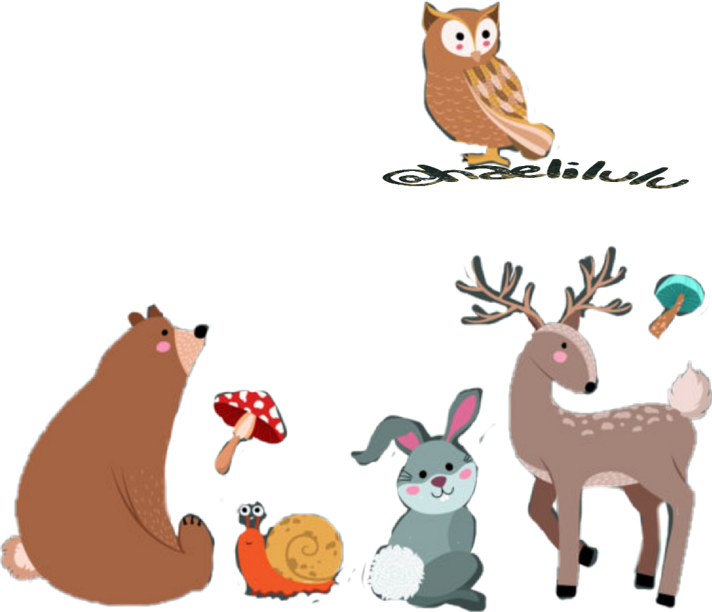 Colormehappy Babies Babyanimals Baby Animals Sweet - Ζωα Του Δασουσ Clipart Png (1024x881), Png Download