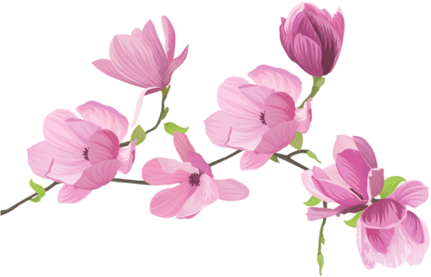 Download Spring Tree Flowers Png Images Background - Sweet Pea Flower Clipart (850x552), Png Download