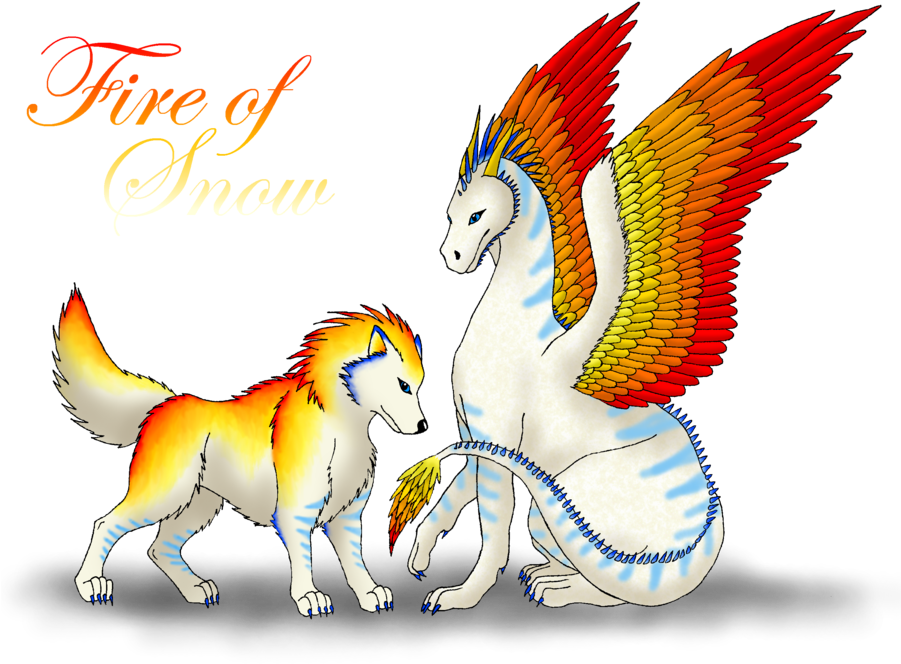 Dragonpack Images Dragon Wolf Pictures Hd Wallpaper - Dragon Wolf Transparent Png (900x671), Png Download