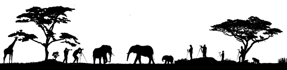 Photosafari - Indian Elephant (1220x298), Png Download