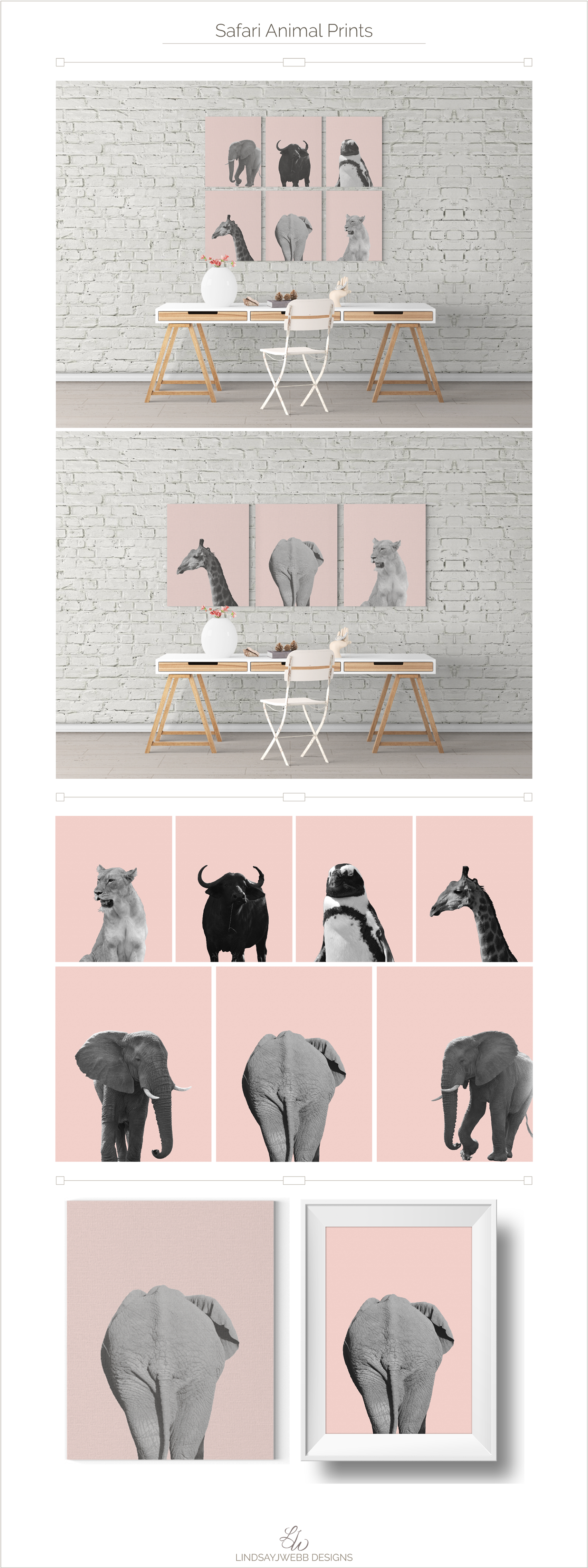 I Photographed The Animals While On Safari In South - Chair (1920x3999), Png Download