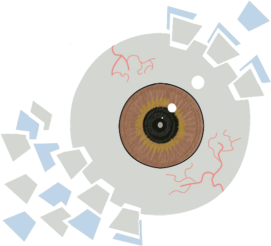 Human Eye Proteome Map - Circle (751x526), Png Download