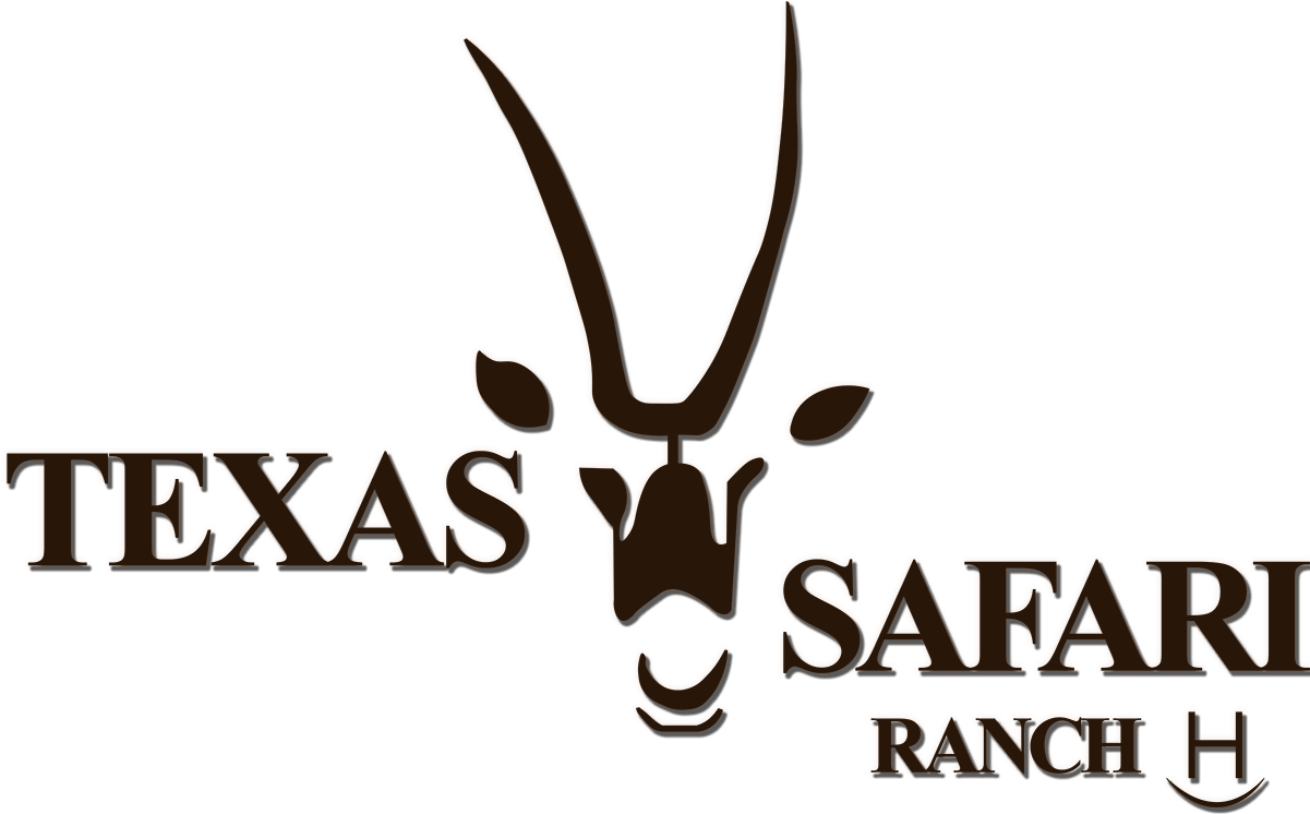 Host Your Eventbook Your Stay - Deer (1200x799), Png Download