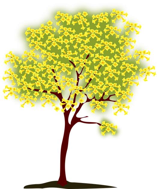 Tree, Blossoming, Yellow, Nature, Spring - Yellow Tree Clip Art (547x640), Png Download