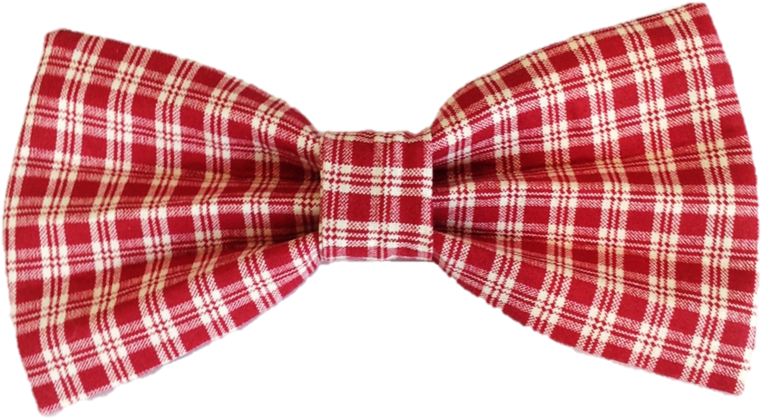 Pawsome Plaid Red Bow Tie - Shirt (881x506), Png Download