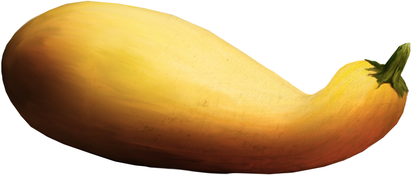 Clipart Vegetables Corner - Zucchini (1600x877), Png Download