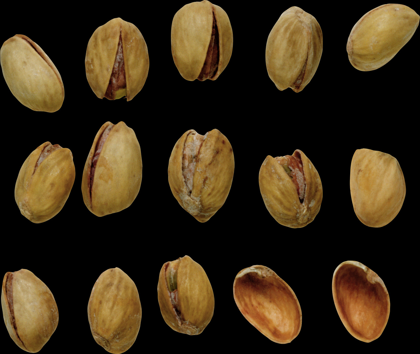 Seed (1600x1346), Png Download