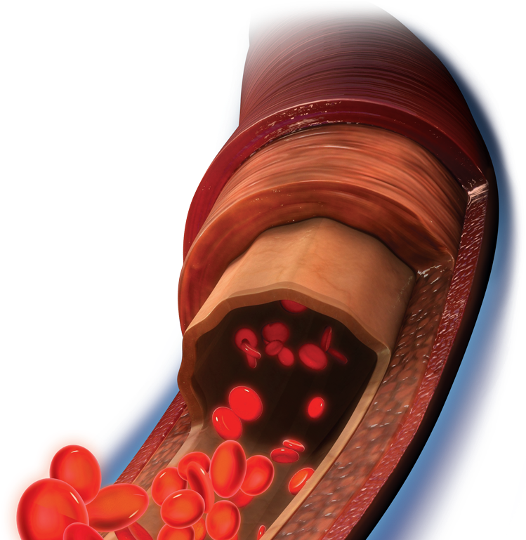 Tissue And Circulation - Medical Equipment (768x768), Png Download