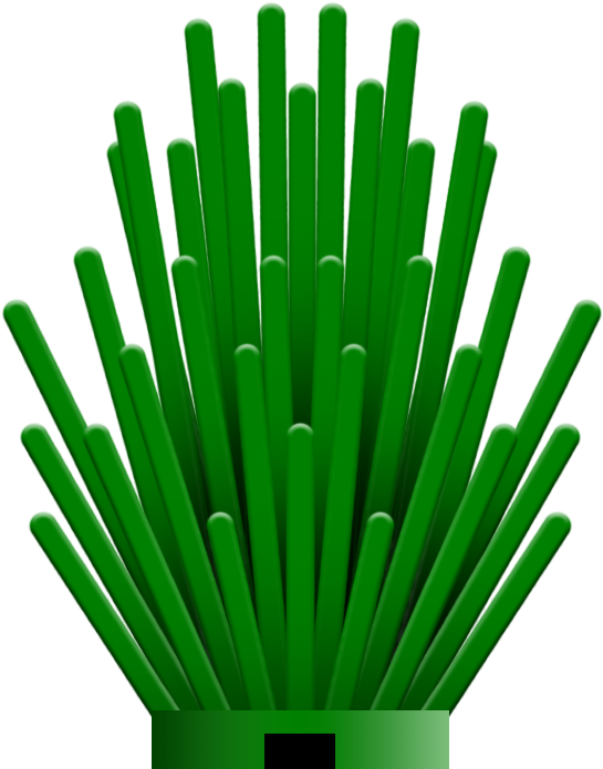 "spiky Bush\ - Grass (768x1024), Png Download