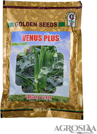 Golden - Golden Bhindi Venus Plus (480x640), Png Download