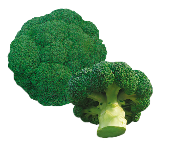 Sprouting Broccoli (668x575), Png Download