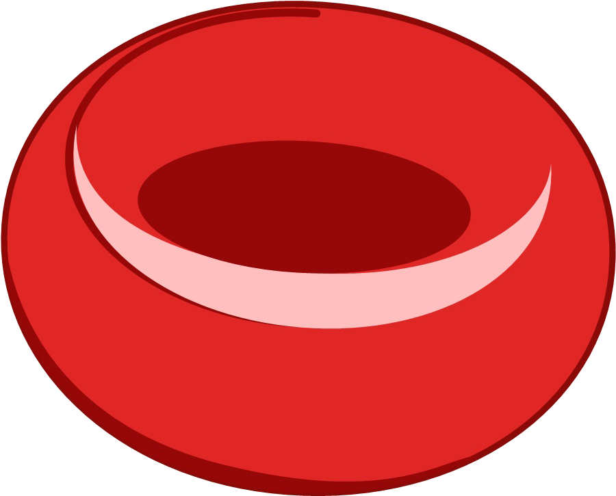 Krvinka - Circle (921x748), Png Download