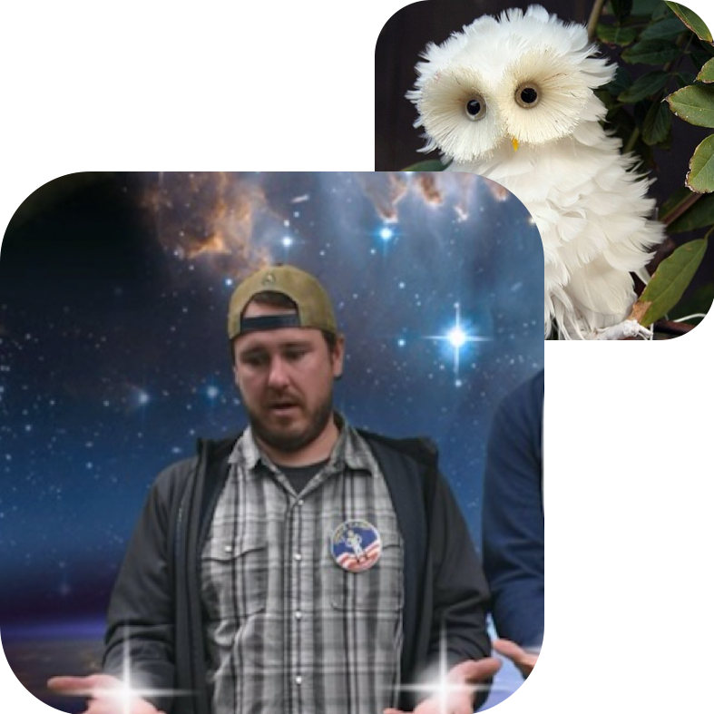 Chris Treter, Board Bird Twin - Real Cute Owls (787x787), Png Download