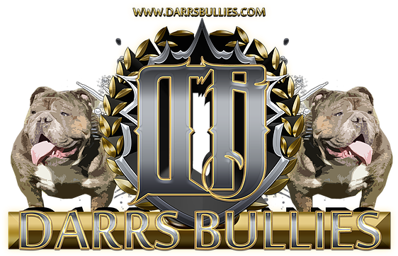 Logo For Darr's Bullies, An Ohio Based Breeder And - Renascence Bulldogge (589x589), Png Download