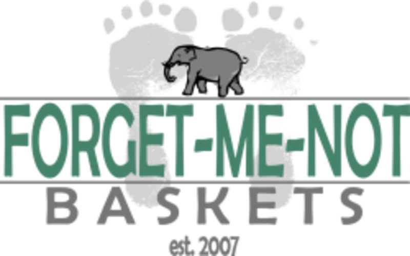 Forget Me Not Baskets 9th Anuual Zumbathon - Indian Elephant (800x499), Png Download