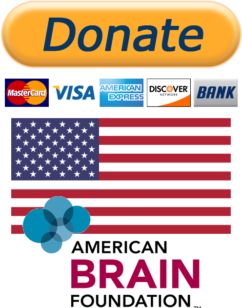 Donate Usa - American Flag (532x650), Png Download