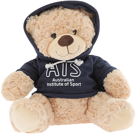 Ais Hoodie Bear - Teddy Bear (600x600), Png Download