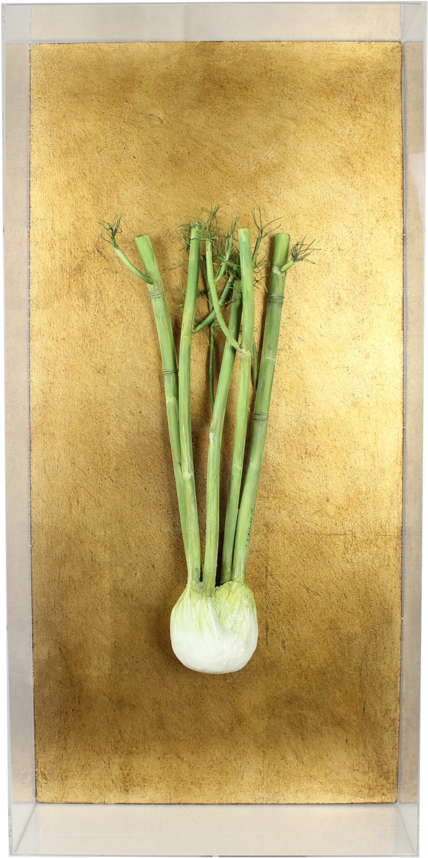 Fennel - Still Life (1000x1890), Png Download