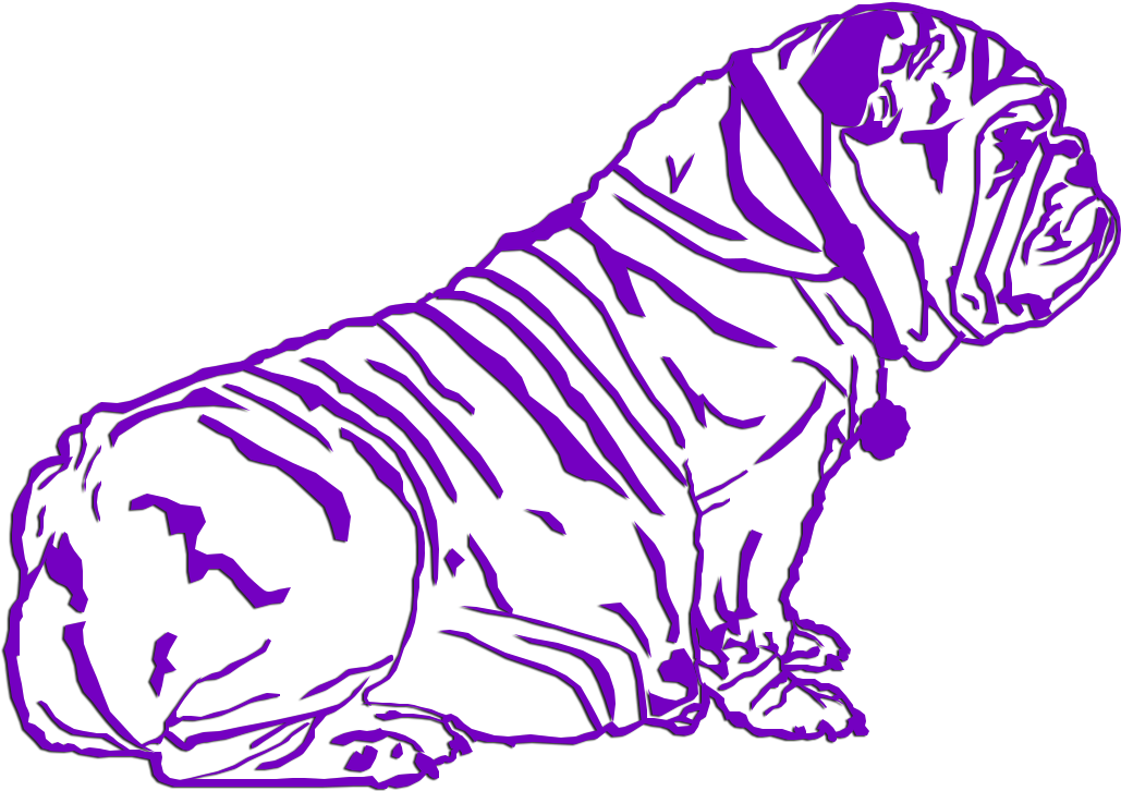 English Bulldog Puppies Litter 12/27/2017 - Dog (1524x730), Png Download