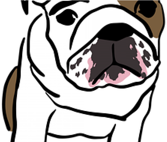 English Bulldog Clipart Transparent - Dog Desenho Png (640x480), Png Download