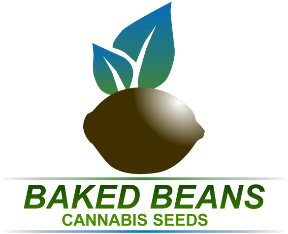 Bakedbeans Rough 300dpi Vector - Natural Foods (640x640), Png Download