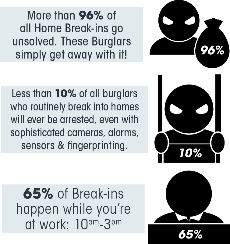 Burglary Infographic - Cartoon (755x800), Png Download