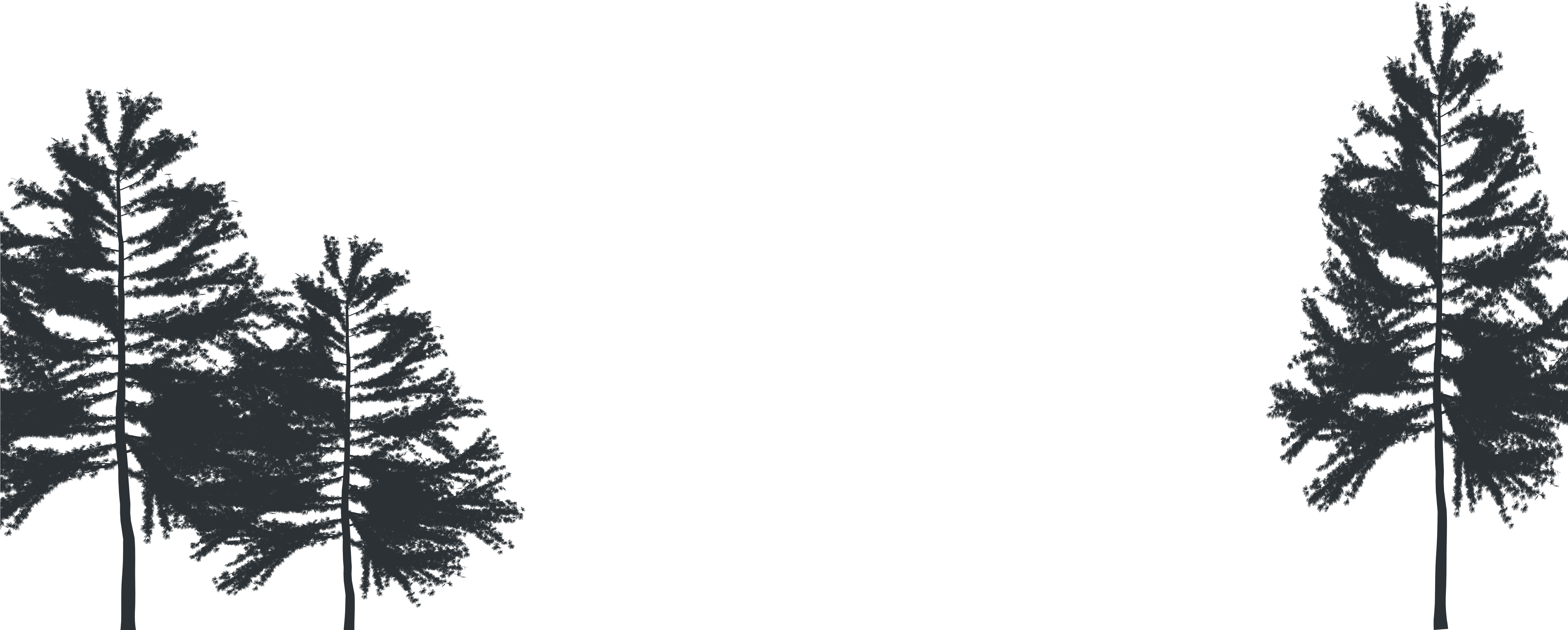 Trees - Christmas Tree (5930x3000), Png Download