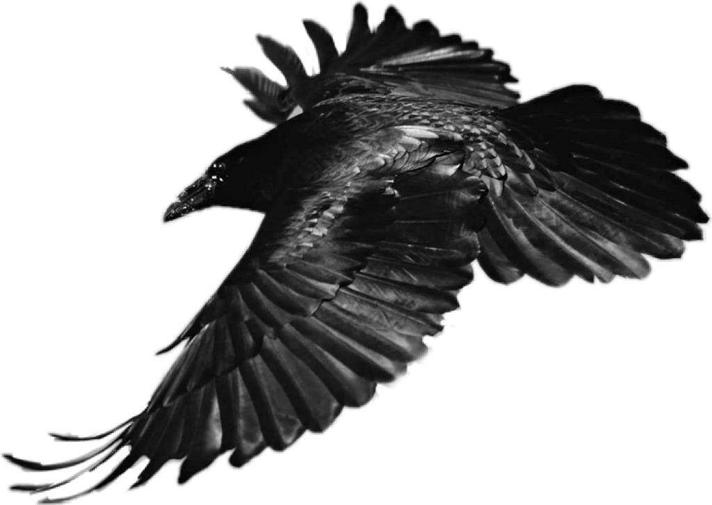 Sticker Sticker - Eagle (1024x726), Png Download