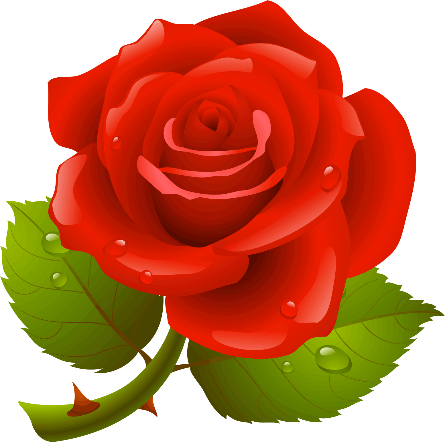 Download - Red Rose Vector Free (2048x2048), Png Download