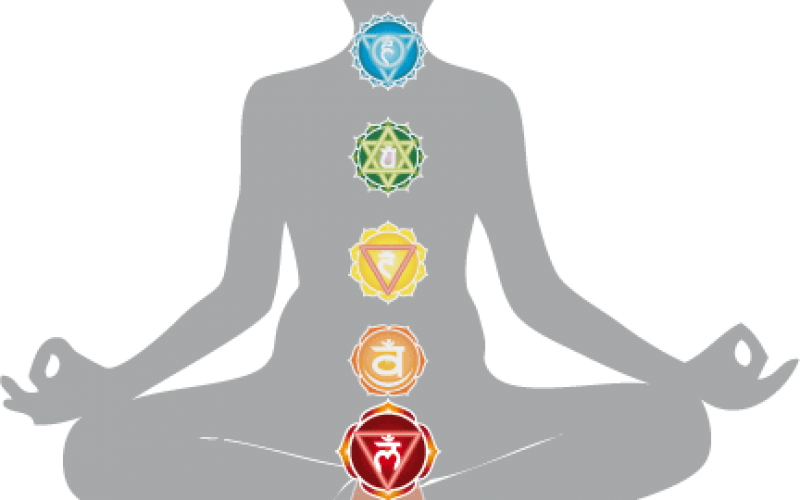 Harmonizing The Energy Body Chakra Anatomy Root Chakra - Third Eye Anatomy (800x500), Png Download