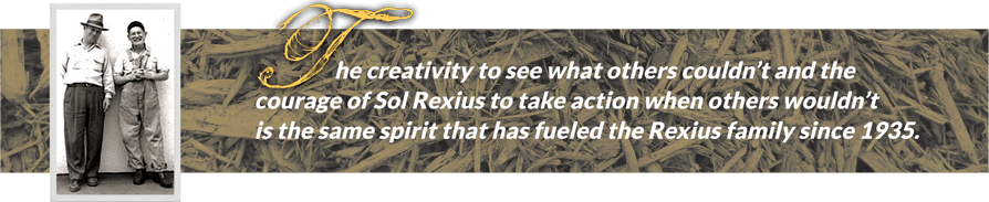 Sol And Marion - Scrap (894x183), Png Download