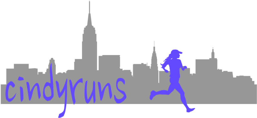 Hudson River (960x376), Png Download