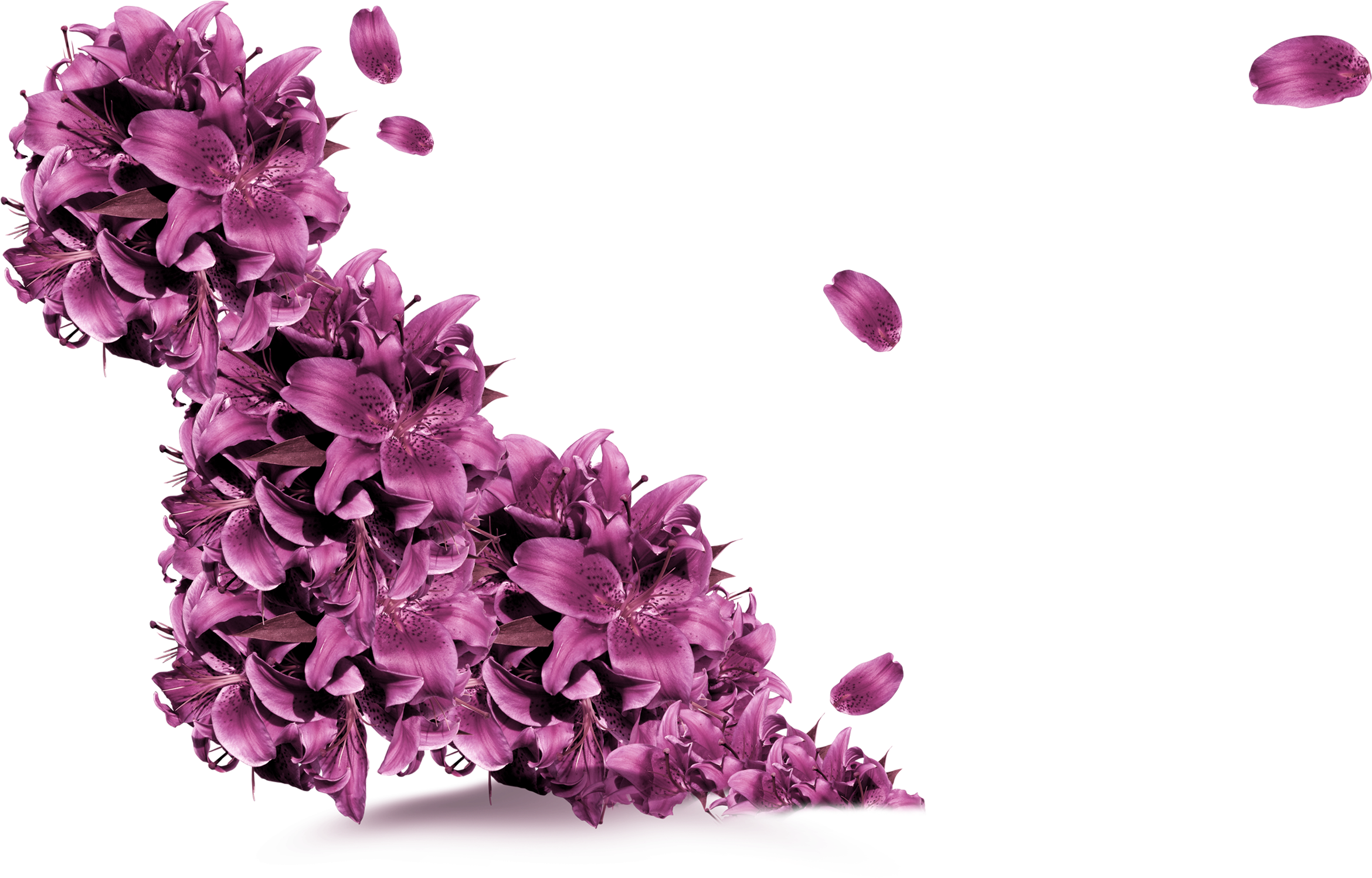 Clip Library Stock Purple Flower Flying Decorative - Flying Lavender Petal Png (2540x1526), Png Download