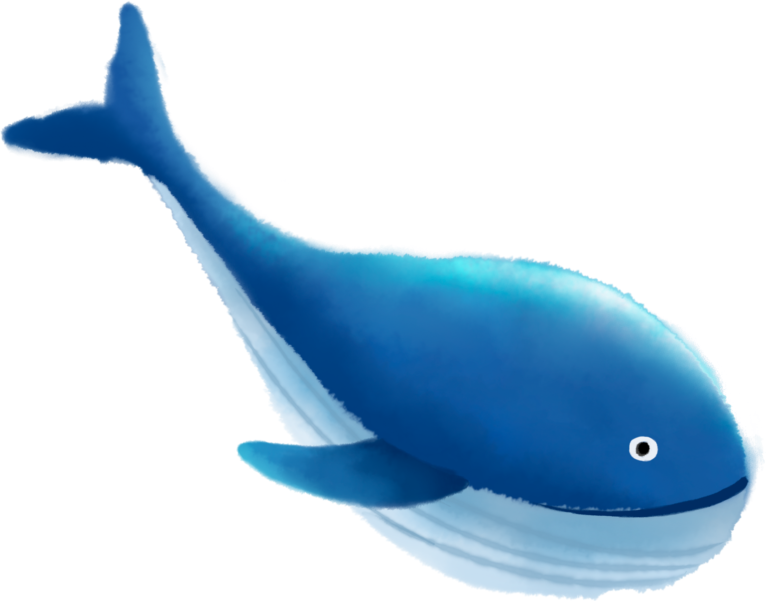 Blue Sea Swimming Whale Png And Psd - Blue Whale (2000x2000), Png Download