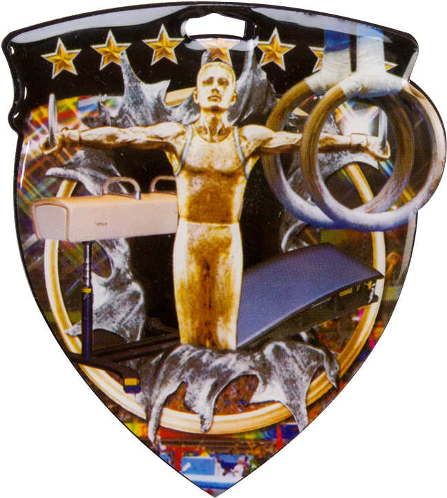 Color Burst Medal For Gymnastics Events - Poster (733x800), Png Download