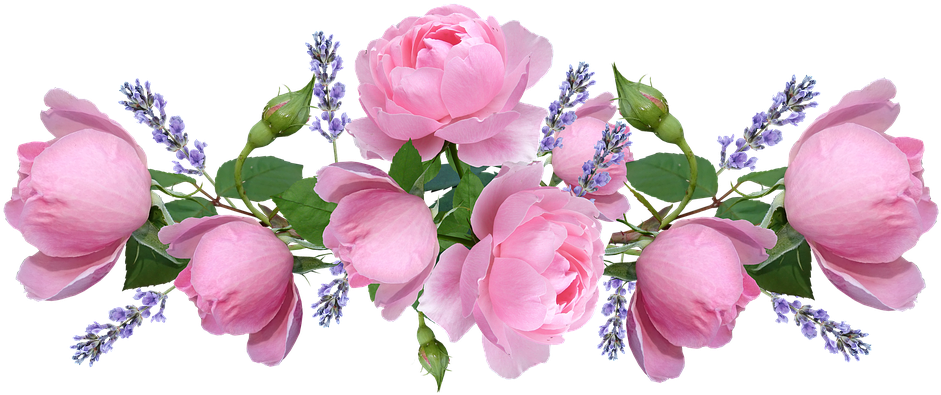 Roses, Pink, Flowers, Lavender, Arrangement - Garden Roses (960x409), Png Download