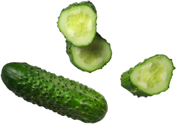 Cucumber - Spreewald Gherkins (866x650), Png Download